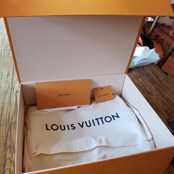 Louis Vuitton Damier Azur MM Hobo Bag - Picture 8 of 10